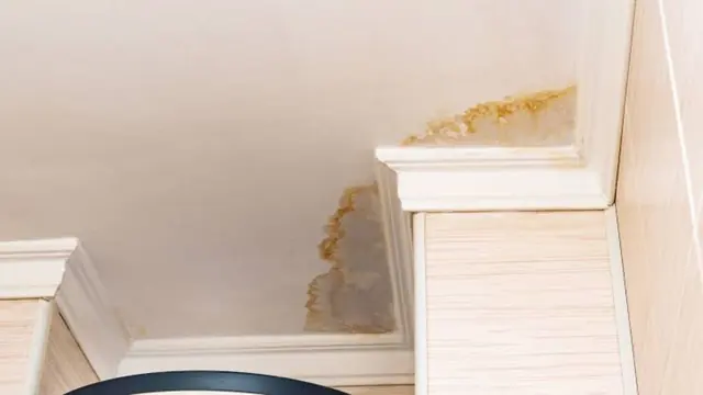 Water stain spreading across a ceiling corner near crown molding