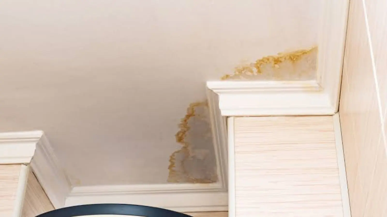Water stain spreading across a ceiling corner near crown molding