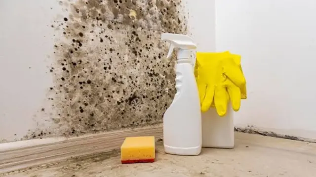 Black mold on a wall corner with cleaning gloves and spray bottles beside it